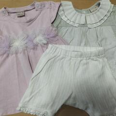 petit main3枚セット