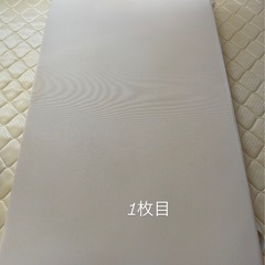 トゥルースリーパー