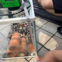 水槽、砂、フィルター、自動給餌器などの画像