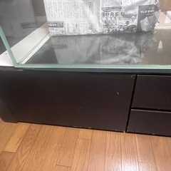 シングルベッドフレームのみ