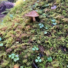登山メンバー募集❣️ − 群馬県