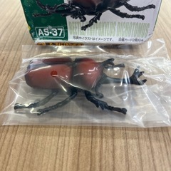 アニア アニマルアドベンチャー カブトムシ AS-37の画像