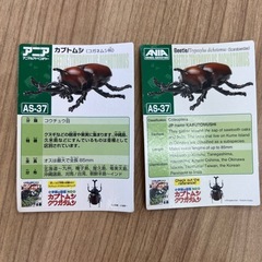 アニア アニマルアドベンチャー カブトムシ AS-37の画像