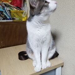 長く続く友達ほしい✨