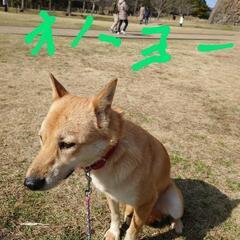 LINE友達募集