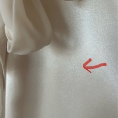 光沢が美しいカットソーの画像