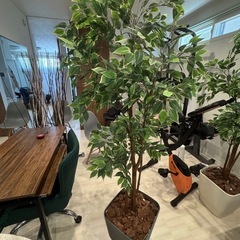 【フェイクグリーン】高さ約180cm／おしゃれなモダン鉢付き◎の画像