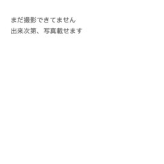 【あげます】ガスコンロ