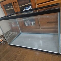 60cm水槽さしあげます。