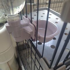 キャットケージ 2段 トイレ付きの画像