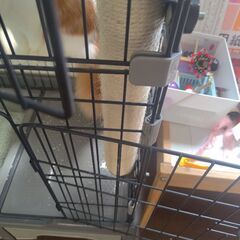 キャットケージ 2段 トイレ付きの画像