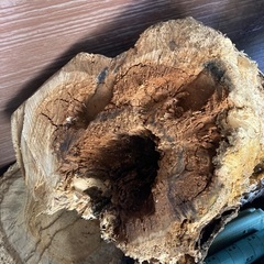 丸太　原木差し上げます。薪ストーブ等に。の画像