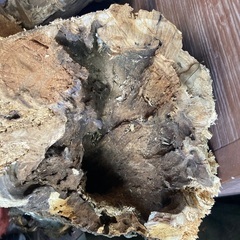 丸太　原木差し上げます。薪ストーブ等に。の画像
