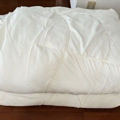 ニトリ　毛布　2枚セット