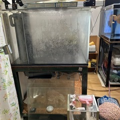 大型水槽の画像