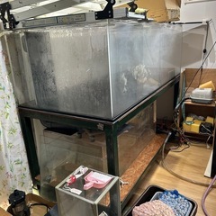 大型水槽の画像