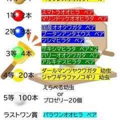 昆虫クジ、生体販売イベント❗