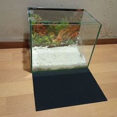 30センチオールガラス水槽