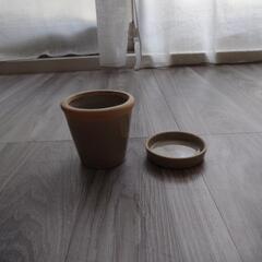 観葉植物用鉢