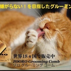ゾロ グルーミングコーム ノーマルサイズの画像
