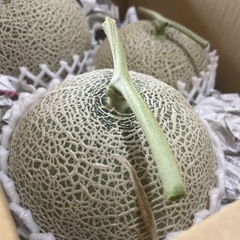 一時停止　熊本県産　高級マスクメロン　訳ありの画像