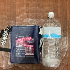新品　 合皮フォトPチャーム付きフラットポシェット　定価¥1980の画像