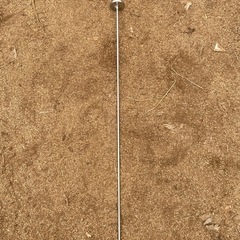 シンワ　90cm温度計の画像
