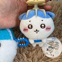 ハチワレセットの画像