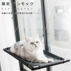 猫　窓　ハンモック