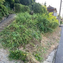 お庭の草刈り　空き地の草刈り　太陽光の草刈りにお困りではありませんか？