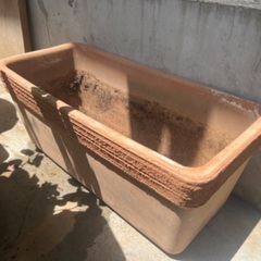 植木鉢(陶器)