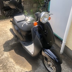 トゥデイ　原付　自賠責あり