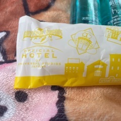 旅行用バスセット/香港ディズニーありの画像