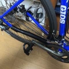 ロードバイク　ジオス　アイローネディスク　2025  50サイズの画像