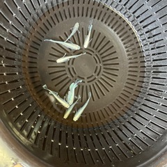 めだか　の画像
