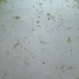 ランキングキーワードに紐づく投稿画像-メダカ