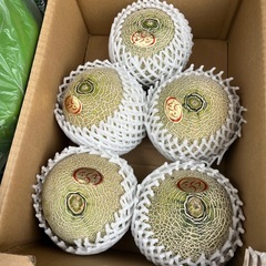 雨が降りそうなので🉐赤肉も¥480しちゃいます✨