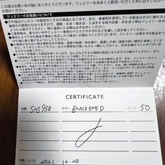 Justin Davis (ジャスティンデイヴィス) ネックレス シルバーいぶしの画像