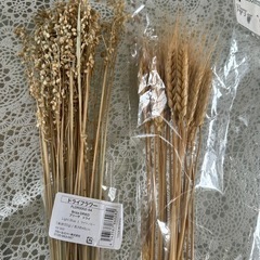 ドライフラワーまとめ売りの画像