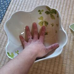 大きな深い器の画像