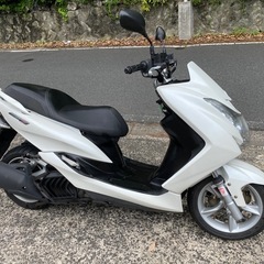 マジェスティ155S⭐️通勤快速⭐️すぐ乗れます❣️