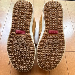 Coleman＊スニーカーの画像