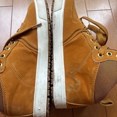Coleman＊スニーカーの画像
