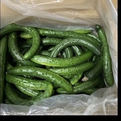 前日野菜