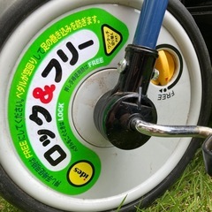 アイデスカーゴ三輪車の画像