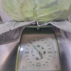 荒尾産キャベツ1780g