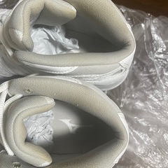 MIZUNO バッシュ　24.5センチの画像
