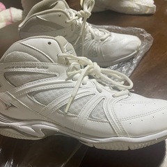 MIZUNO バッシュ　24.5センチ