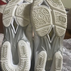 MIZUNO バッシュ　24.5センチの画像