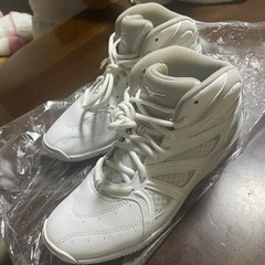 MIZUNO バッシュ　24.5センチの画像